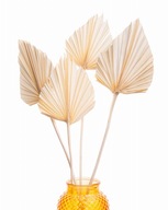Sušený palmový list bielený palm spear bielený sušené listy dekorácie
