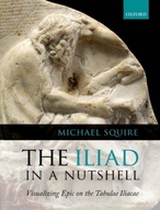 The Iliad in a Nutshell: Visualizing Epic on the