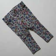 PAPAGINO legginsy jegginsy w motyle r. 74