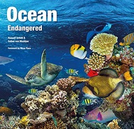 OCEAN: ENDANGERED (ABANDONED PLACES) - Celine Van Weelden [KSIĄŻKA]