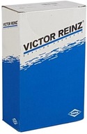 Victor Reinz 81-10481-00 Tesniaci krúžok hriadeľa, vačkový hriadeľ