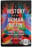 A History of the Human Brain Stetka