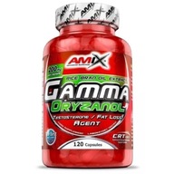 AMIX Gamma Oryzanol 120caps ANTIOXIDANT WIGOR POHODA