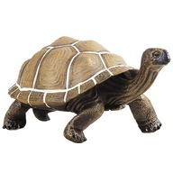 Simulovaná pevná mini hračka so zvieracím modelom korytnačky