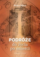 Podróże do życia po śmierci - e-book