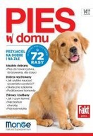 Pies w domu Ringier Axel Springer Polska 558507