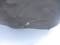 bumper front OPEL ZAFIRA C Z190