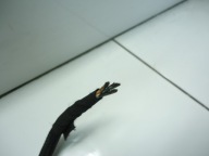 MINI COOPER 1.6 THP N14B16AA kabelbaum kabelsatz Motorkabelbaum 7567108