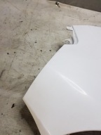 fender FIAT BOXER 12r. left front BIALY