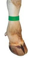 Azonosító fejpánt tépőzárral, 36 cm, textil, 10 db, zöld