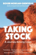 Taking Stock: A Journey Among Cows