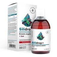 AURA HERBALS Silidrop - Kremík + Bór KOSTI KĹBY ODOLNOSŤ ZRANENIA 500 ml