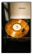 Obraz na plátne - Vinyl vinyl gramofón veľa vz.