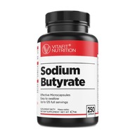 VITAFIT SODIUM BUTYRATE BUTYRÁT SODNÝ 250KAPS ČREVÁ