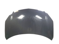 cofano RENAULT KOLEOS e LAK: TEGXA (08-11)