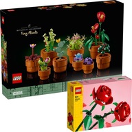 LEGO CREATOR ICON Malé rastliny 10329 + LEGO Ruže 40460
