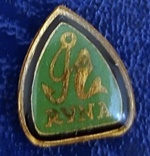Odznaka wędkarska Ryna