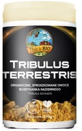 Tribulus terrestris (Buzdyganek naziemny) proszek This is BIO 110 g