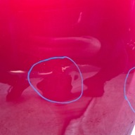 MAZDA MX-5 IV 4 15-> bonnet