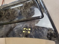 ashtray passenger compartment consoles of the dashboard front DEKOR TUNELU BMW 1 E81 E82 E88 OE