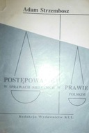 Postępowanie w sprawach nieletnich w prawie polsk