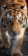 RĘCZNIK KĄPIELOWY PLAŻOWY tygrys animals 70x140