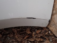 bumper front front FORD MONDEO MK5 V ST LINE