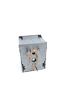 Schalter Schalter PANEL Leuchten OE 90460591 Opel Omega B 94-03
