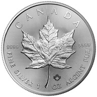 Srebrna Moneta Kanadyjski Liść Klonu 2023, 1 uncja