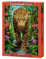 Puzzle Leopard vo voľnej prírode 2000 dielikov.