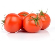 Pomidor czerwony karłowy Betalux sadzonka w doniczce Solanum lycopersicum