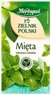 Herbata Herbapol Mięta Zielnik Polski 20 torebek
