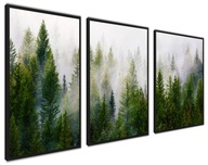 Plagáty v ráme, moderné obrazy Veľký les hmla