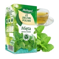 HERBAPOL ZILENIK POLSKI herbata ziołowa MIĘTA 20 TOREBEK