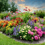 Zestaw 5 pięknych roślin na letnią rabatę MIX PIĘKNYCH ROŚLIN