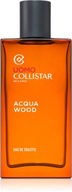 Collistar Uomo Acqua Wood toaletná voda pre mužov (brown) 100 ml