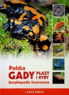Polska gady płazy i ryby Encyklopedia