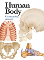 Human Body : Understanding Anatomy / Jane de Burgh