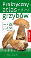 Praktyczny atlas grzybów 200 ZDJĘĆ 160 GATUNKÓW