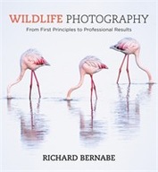 Wildlife Photography