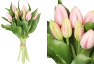 TULIPÁN CSOKOR TULIPÁN GUMIS, MINT AZ ÉLŐ 7DB
