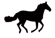 AUTÓMATRICA, HÁTTÉR NÉLKÜL - LOVAK FUTÁSBAN, AUTÓRA, ABLAKRA