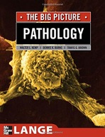 Pathology: The Big Picture Kemp William ,Burns