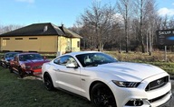 Ford Mustang GT V8 Manual 22 tys km Skora Fote...
