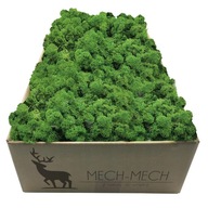Mach CHROBOTEK RENIFER Fínsky 500g Dekoratívny PREMIUM Lesná zelená