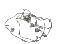 Audi A4 B9 cablaggio cablaggio 6X sensori parcheggio ASYSTENT Anteriore