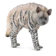 Hyena rebrovaná