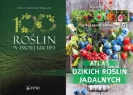 100 roślin w Twojej kuchni + Atlas dzikich roślin
