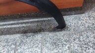 accessories spoiler of a bumper front front TOYOTA HIGHLANDER IV 19