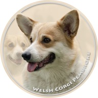 Samolepka na auto - Welsh Corgi Pembroke
